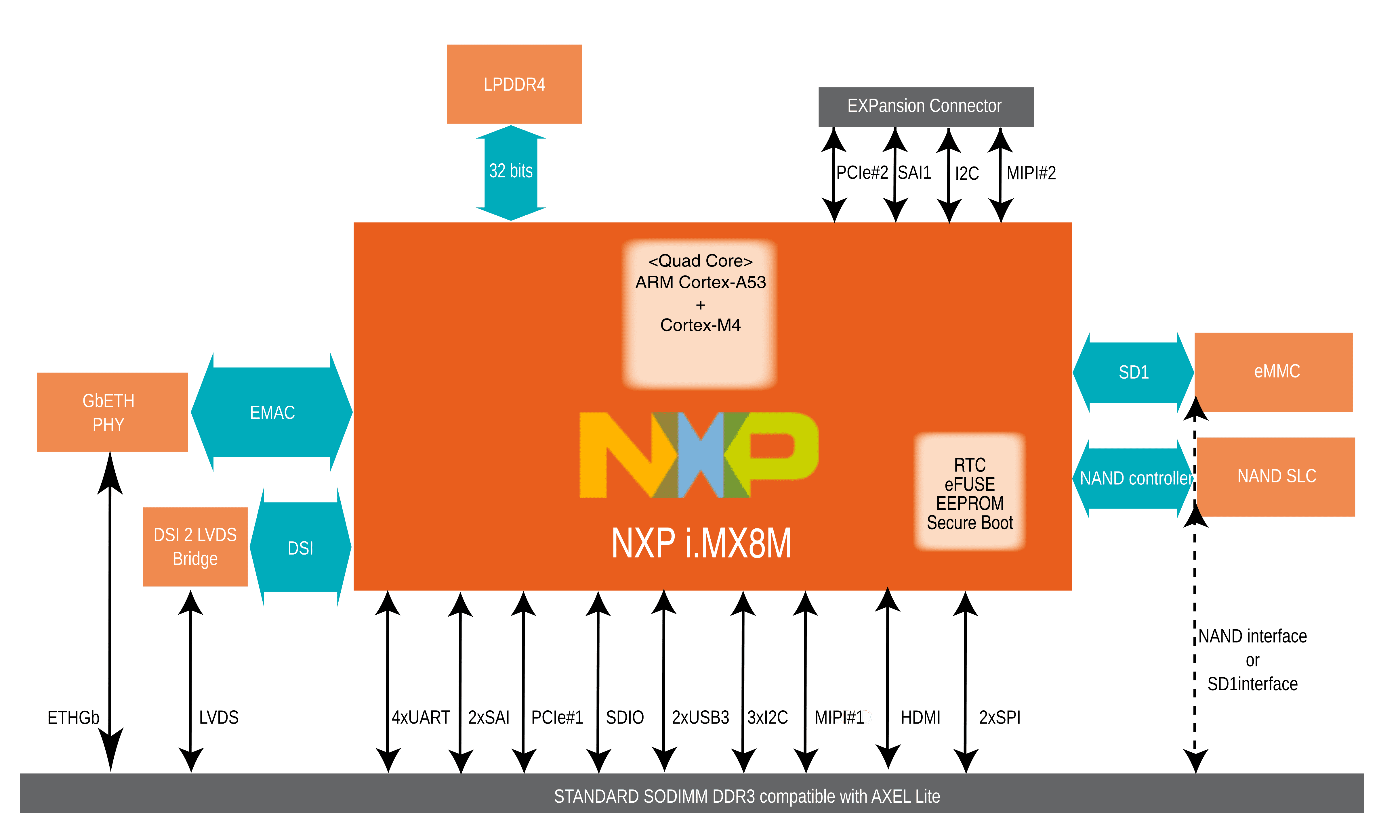 NXP i.MX8M DAVE Block Diagram